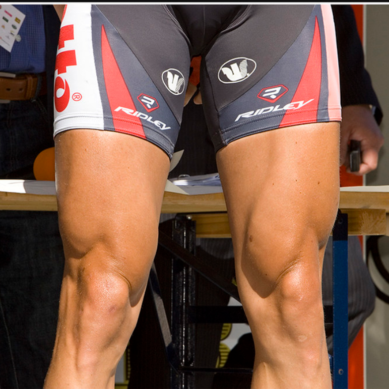 Quadriceps : leur anatomie, comment les muscler et les étirer ?