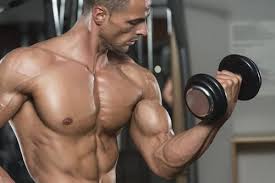 contraction volontaire du biceps avec une haltère