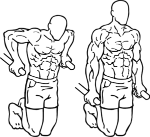 Les dips : exercice musculation des pectoraux et des triceps
