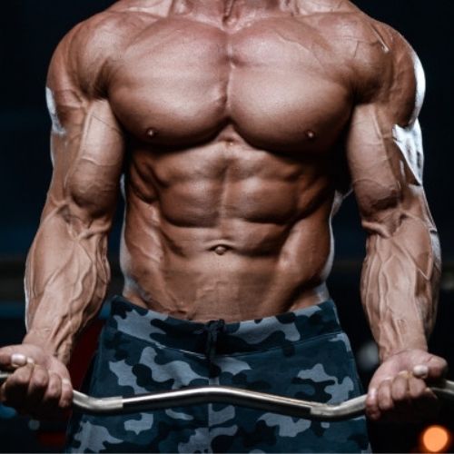 prise de masse musculation 