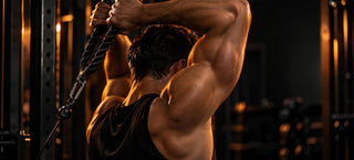 Athlète de dos en extension des triceps à la poulie au-dessus de la tête, triceps contracté sous une lumière rasante